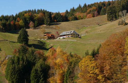Ferienwohnung Auszeit -Gipfhof- - Foto 16