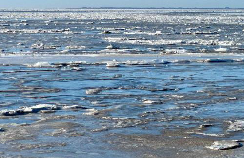 Ferienhaus Immerlicht Norddeich S-H - Photo 16