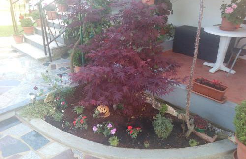 Apartment Gogo - Photo 4