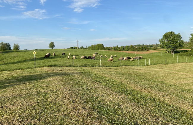 Villa Stone - Foto 39