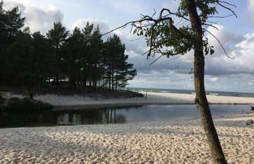 AMBER Dębki - Foto 5