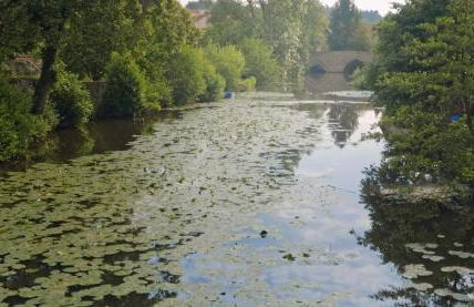 Gite le Parveau, 3 étoiles meublé de tourisme - Photo 57