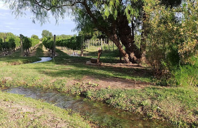 Viento Andino - Foto 18