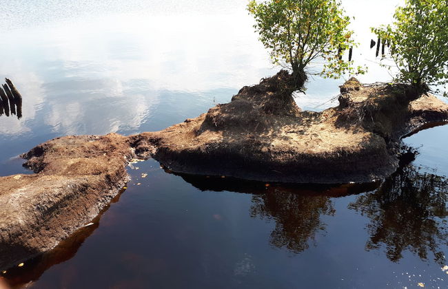 Apartments Fröhling - Foto 80