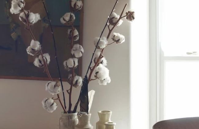 The Pavement Palace - Photo 12