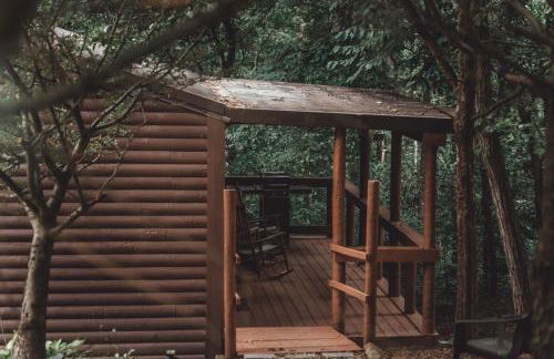 Great Frontier Cabin at American Heartland Cabins - Photo 35