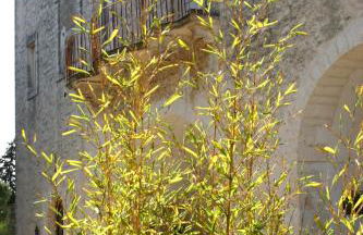 Agriturismo Antonelli Piangevino - Foto 77