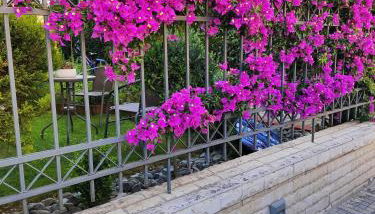 SOLMAR HOUSE - Foto 4