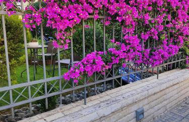 SOLMAR HOUSE - Photo 4