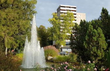 Ferienwohnung Tannenballett im Schwarzwald - Foto 39