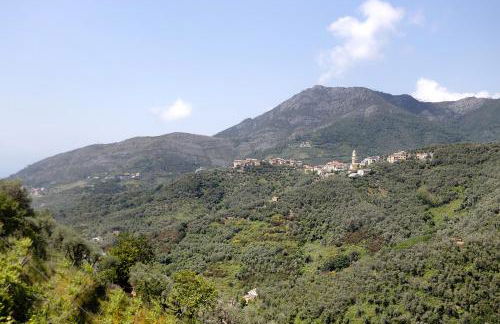 Green Cactus House - Foto 12