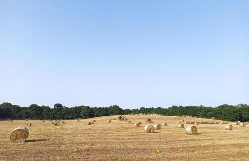 Trullo in piena valle d'itria del 1800 - Photo 9