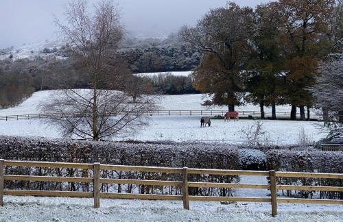 TVF Stable Suites - Foto 42