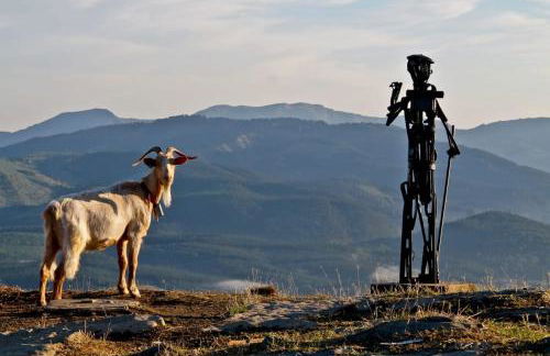 Mendiko Baserria - Foto 42