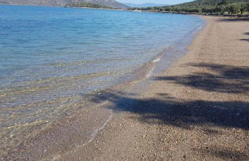 Skorponeria beachfront house - Foto 55