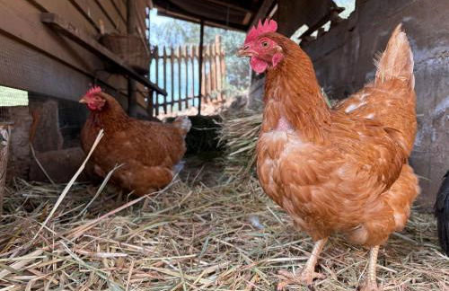 Alojamiento Rural Las Maravillas - Foto 44