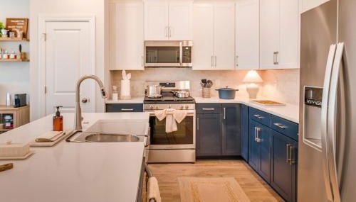 Lake Front 2 King, Bar & Grill Public Dock, Kayaks - Foto 4, stove