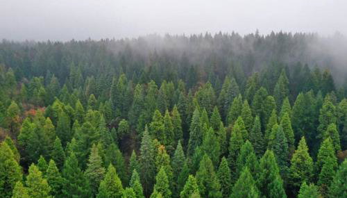 Picturesque Cabin Hot Tub - Foto 2