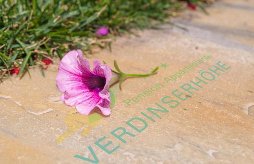 Appartements Verdinserhöhe - Foto 61