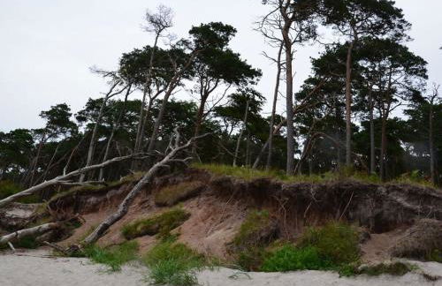 Below Comfortable holiday residence - Foto 33