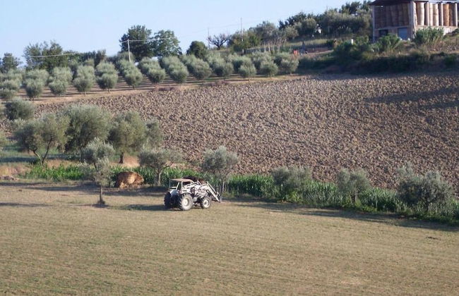 Agriturismo Il Vecchio Carro - Foto 40