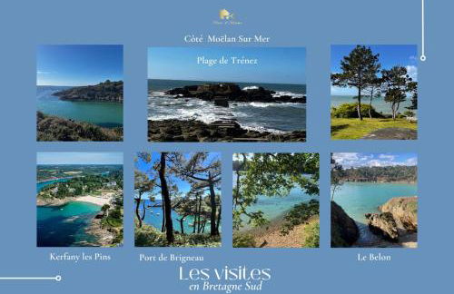 Le Tiguidou, Cosy, lumineux, 2-6 pers, plage 300m - Foto 42