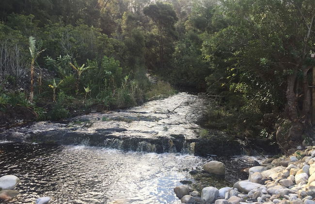 A Riverbed Guesthouse - Photo 75