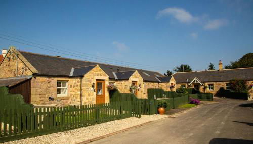 Chiff Chaff - Foto 1