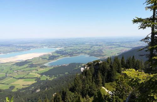 Alpenrose Appartements - Foto 28