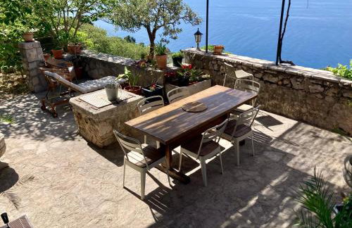 Blue Dream - Foto 16