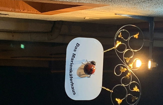 Das Marienkaeferhaus - Photo 33