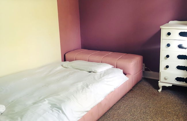 Groenhoek Game and Guest Farms - Foto 12