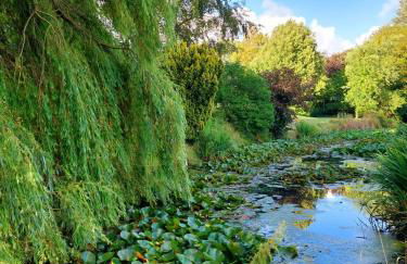 Seerosenhof - Foto 10