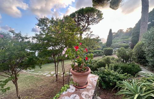 Giardino in villa Margherita - Foto 62