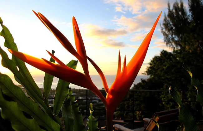 Bounty Lodge - Photo 78