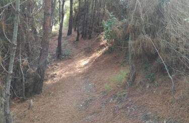 Apollon Resort - Foto 69