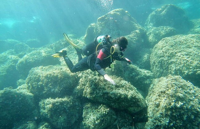 Bautismo de mar: Buceo en la isla de Elba". - Foto 3