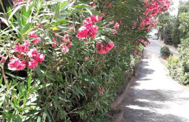 Casa Vacanze di Pieranna - Foto 12