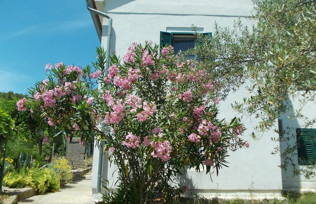 Detached House Miketa - Foto 55