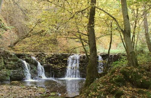 Charming apartment in Buch - Foto 18