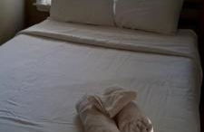 The Heart of Merrimack Historic Mansion - Photo 49