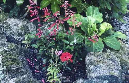 Holiday Home Idyllisches Landhaus mit wunderschönem Garten by Interhome - Photo 18