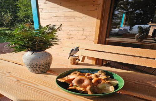 Holiday homes with a private beach on the lake - Foto 13