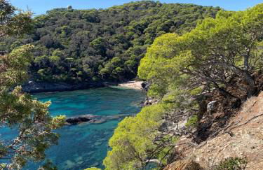 VILLA VUE MER sur la presqu'ile de GIENS - Foto 10