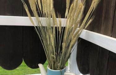 W Karkonoszach na Chacie jacuzzi, sauna, bilard, leśny park - Foto 25