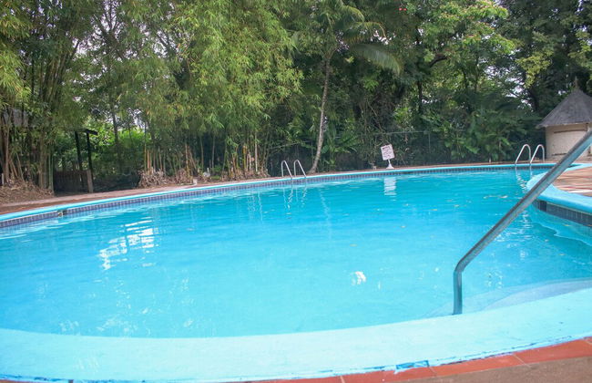 The Blue Mahoe Treehouse - Photo 26