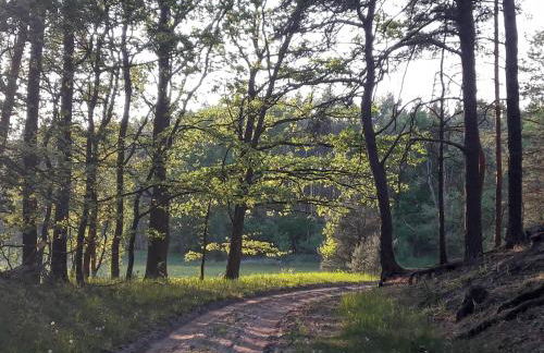 Mirabellenhof-Fewo mit Terrasse - Foto 13