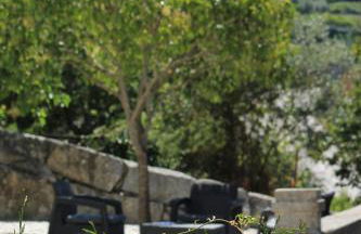 Solar Guesthouse Olival da Vinha - Photo 6