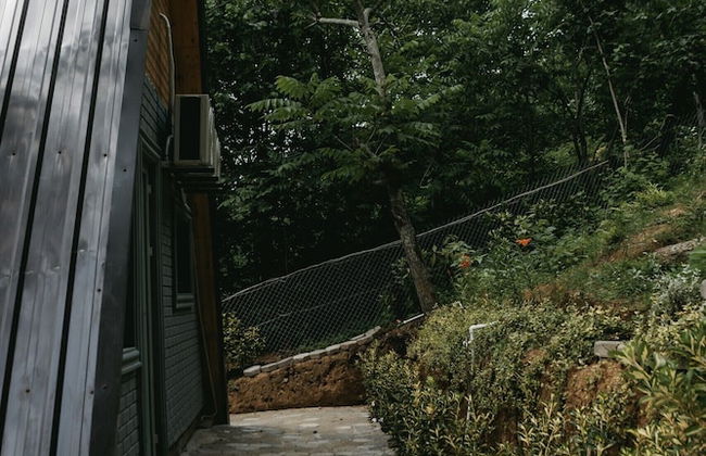 Thomas Hut - Foto 33