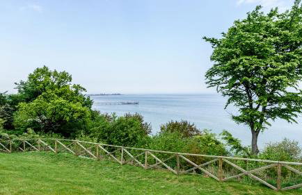 Poranna Bryza - Foto 22